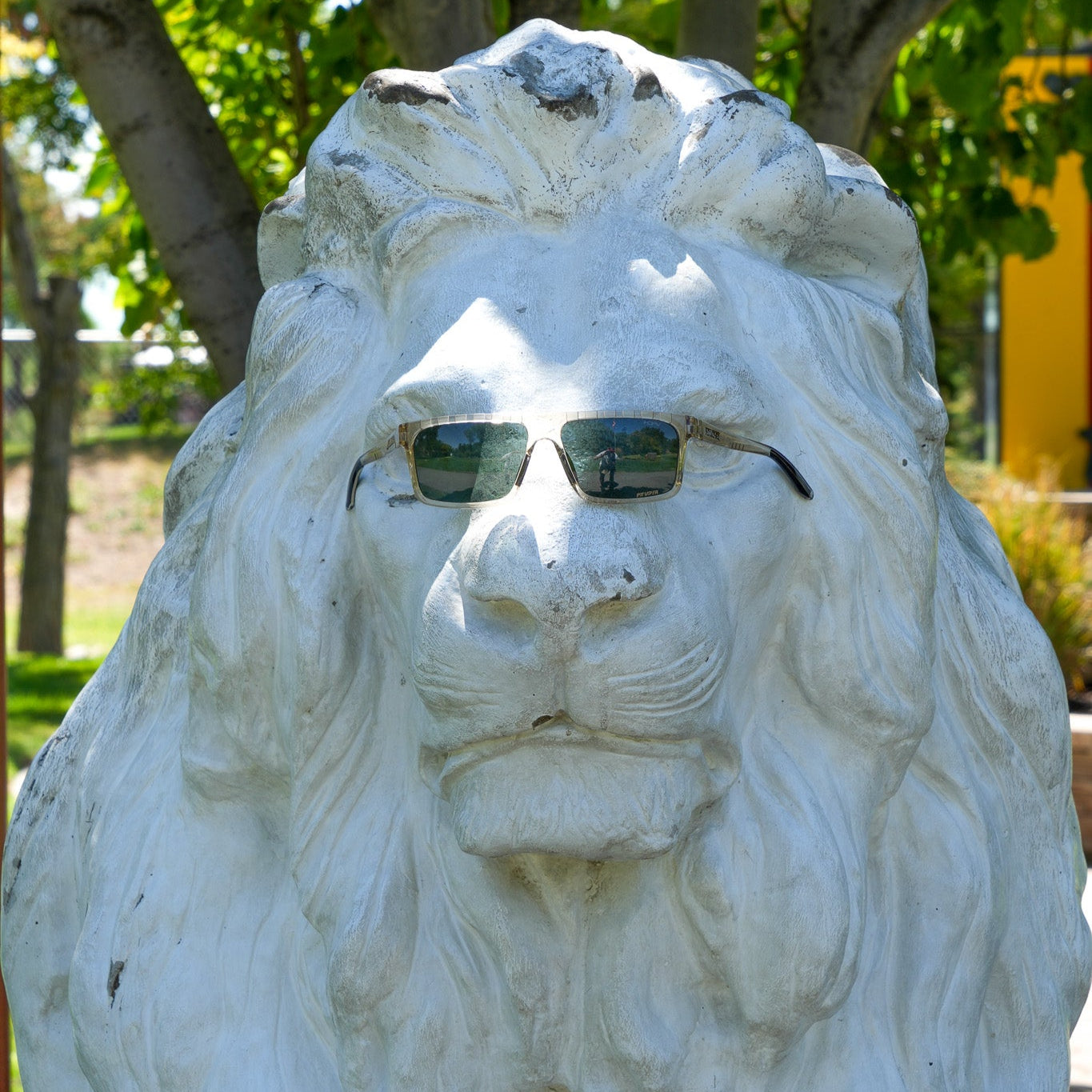 20250812-DSC01699-2